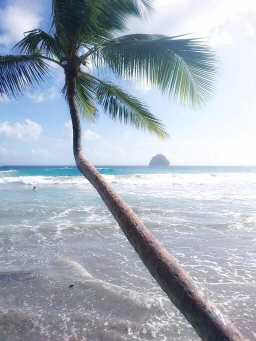 Superbe Studio, A 20 Metres De La Plage, Acces Direct Grande Plage Diamant ル・ディアマン エクステリア 写真