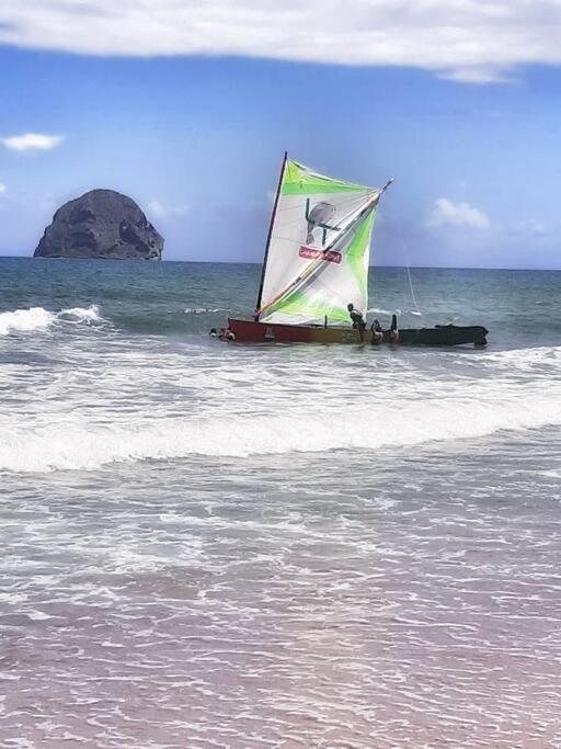 Superbe Studio, A 20 Metres De La Plage, Acces Direct Grande Plage Diamant ル・ディアマン エクステリア 写真