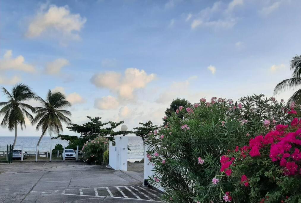 Superbe Studio, A 20 Metres De La Plage, Acces Direct Grande Plage Diamant ル・ディアマン エクステリア 写真