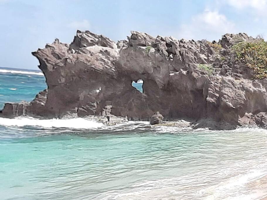 Superbe Studio, A 20 Metres De La Plage, Acces Direct Grande Plage Diamant ル・ディアマン エクステリア 写真