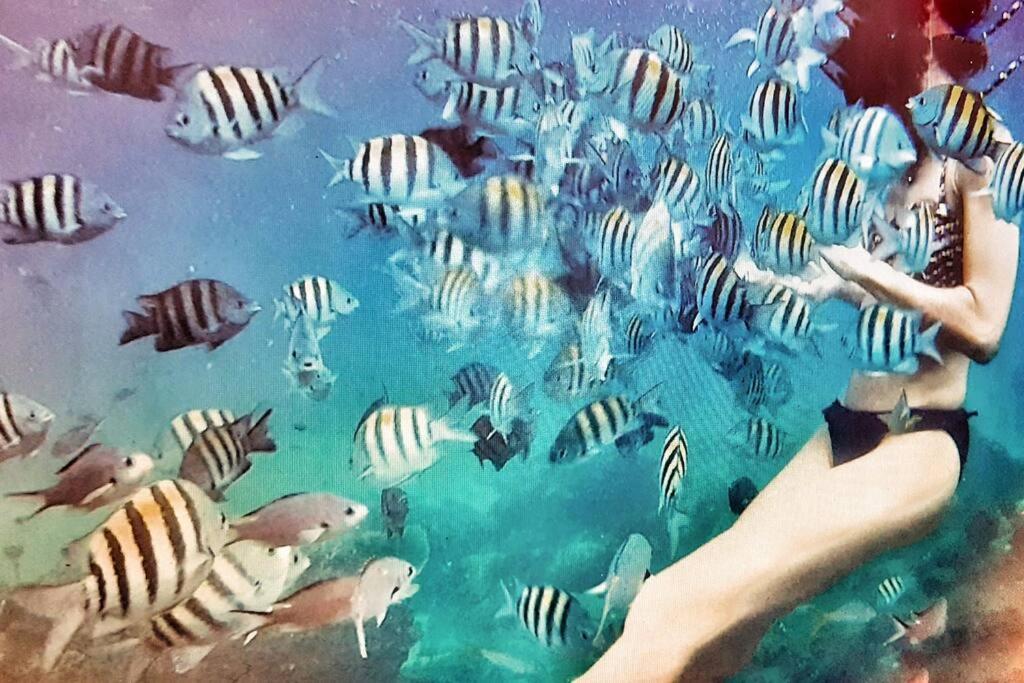 Superbe Studio, A 20 Metres De La Plage, Acces Direct Grande Plage Diamant ル・ディアマン エクステリア 写真